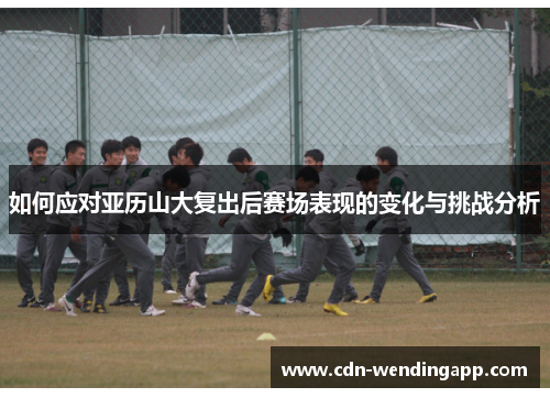 如何应对亚历山大复出后赛场表现的变化与挑战分析