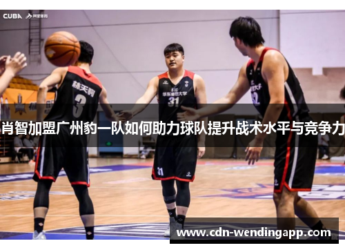 肖智加盟广州豹一队如何助力球队提升战术水平与竞争力