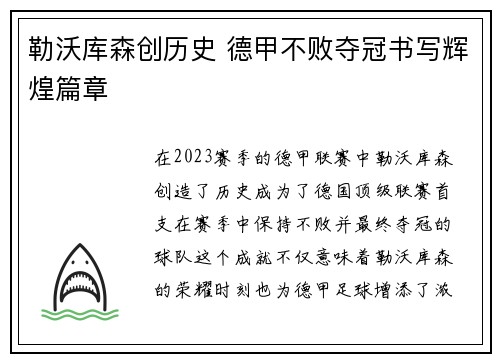 勒沃库森创历史 德甲不败夺冠书写辉煌篇章